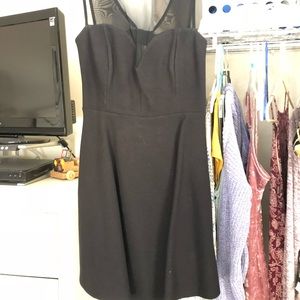 Sheer Crew Neck Skater Dress